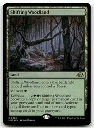 Shifting Woodland #228 (Foil) - Modern Horizons 3 - Magic: The Gathering