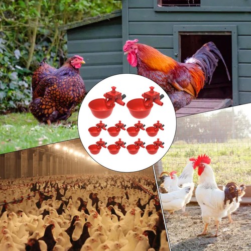 10PCS Drinking Bowl Waterer Poultry Chicken Water Cup Feeder Drinker Automatic - Picture 7 of 12