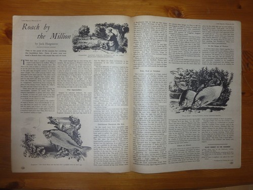 LEADER MAGAZINE Vol 7 No 17 25TH FEB 1950 40 YEARS OF FILM GLAMOUR - Picture 15 of 21