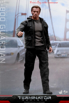 Perfect Hot Toys 1/6 Mms307 Terminator Genisys T-800