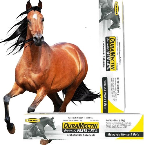 1 Pack Durvet Duramectin Equine Wormer Paste -Exp July 2026 - Picture 10 of 12