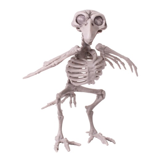 7-in Horror CROW SKELETON BONES Dead Pet Bird Poseable Halloween Prop Decoration - Picture 2 of 6