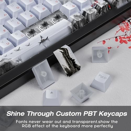 XVX PBT Japanese Keycaps, Shine Through Keycap, Plum Blossom Custom White - 第 5/7 張圖片