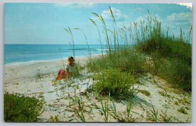 Postcard Along The Beautiful Sandy Beaches Of Florida D10