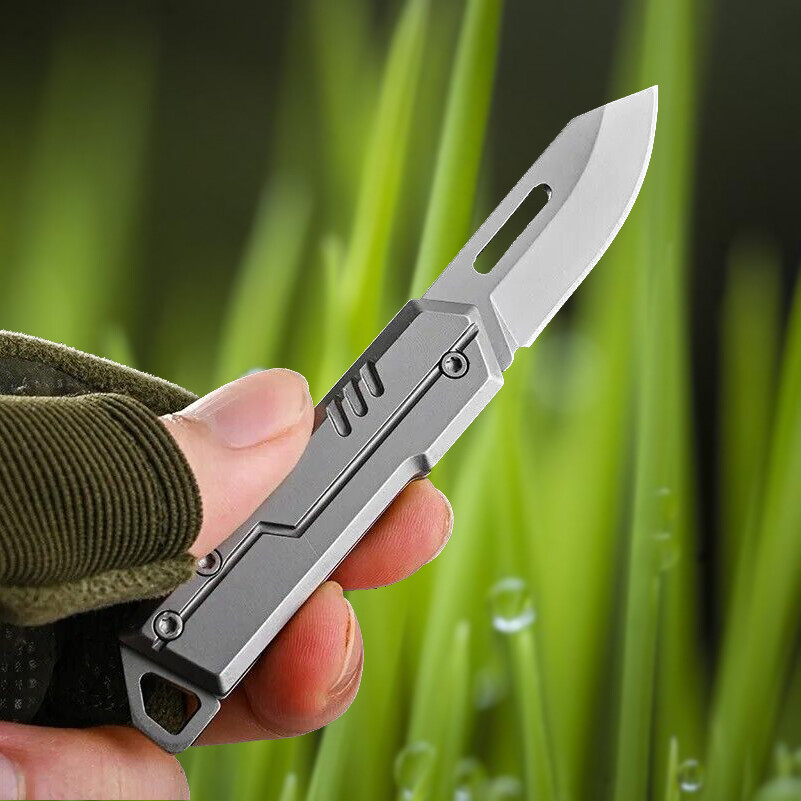 Pocket Folding Blade Knife Outdoor Camping Survival Keychain Knife D2 Blade EDC