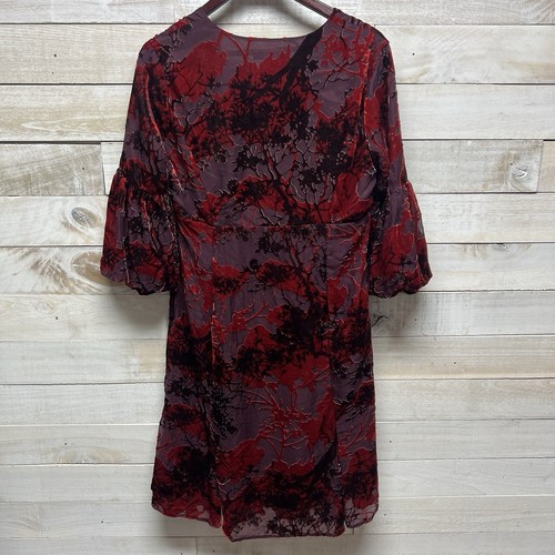 Newport News Velvet Burnout Red Floral Dress Large Goth Dark Romantic Old Money - Picture 4 of 8