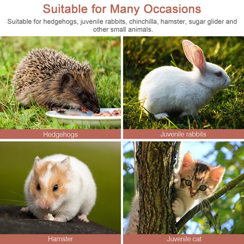 Animaux Nid En Céramique Pour Hamster tendance Maisonnette Rongeur Habitat