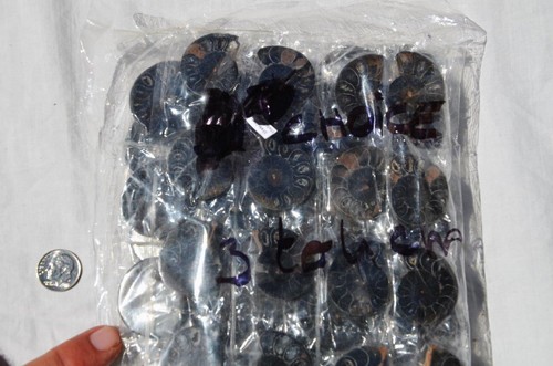 7948t LOT of FIFTY50 RARE 1in100 BLACK Ammonite PAIR Crystal FOSSIL MEDIUM 3-4cm - Picture 2 of 8
