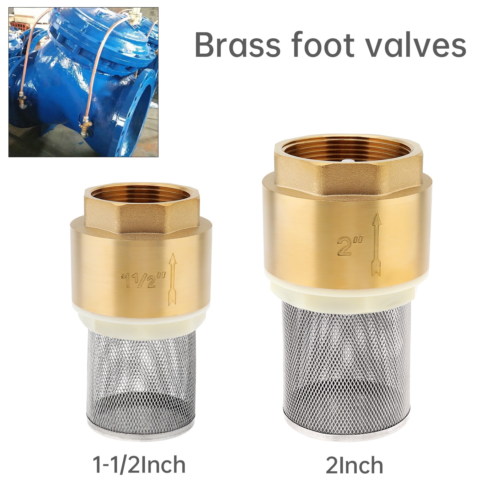 2in Brass Bottom Check Valve, Filter Strainer, Tool-Free Threaded Installation