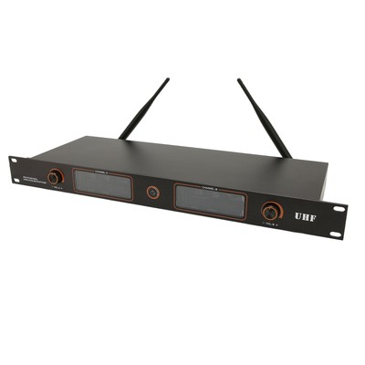 EU Plug UHF Wireless Mic System Professional Dual Channel 1 To 2 Handheld Dy Fit