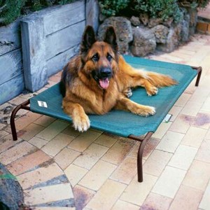 coolaroo dog beds