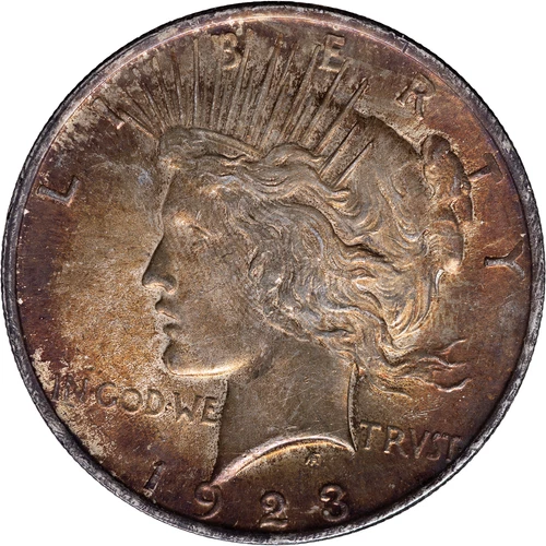 1923 Peace Silver Dollar ~ Uncirculated - Nice Toning