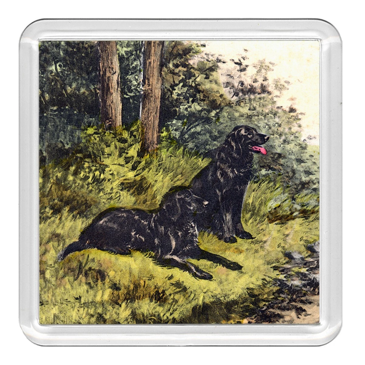 Flat coated cheap retriever gifts