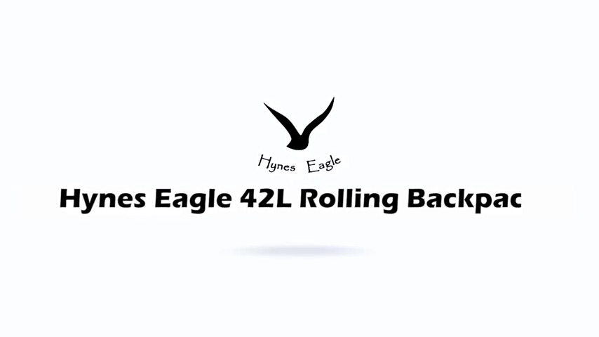 Hynes Eagle Carry on Trolley Rugzak Vlucht Goedgekeurde tas Handbagage op wielen 42L, Zwart verpakking Cubes 2024, Backpack Packing Cubes