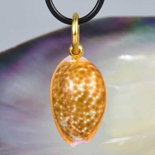 Anhänger Kauri Meeresschnecke Muschel & Gold Vermeil auf Sterling Silber Handarbeit 3,74g