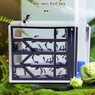 Farm Workshop Transparentes -Nest Für Wissenschaftliche Beobachtung,