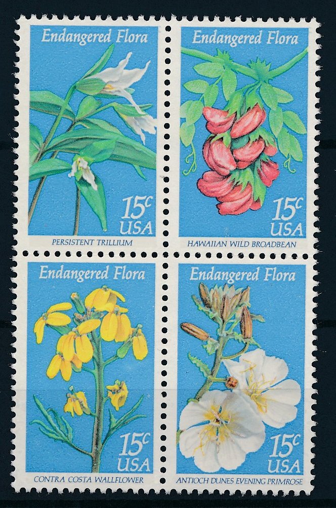 62571] United States 1979 Flora flowers blumen fleur MNH | eBay