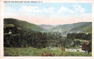 Rosco NY Beaver Kill River Rockland Valley Catskill Mountains Vtg Postcard E57