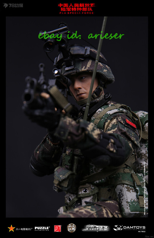 Damtoys 1/6 78022 Chinese People'S Liberation Army Specia Forces