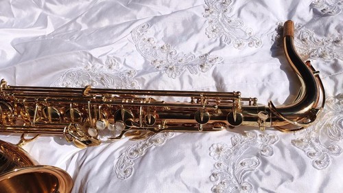 SAXOFÓN TENOR YANAGISAWA T902 EN LATÓN BRONCE EXCELENTE+++++ USADO DE JAPÓN - Imagen 5 de 20