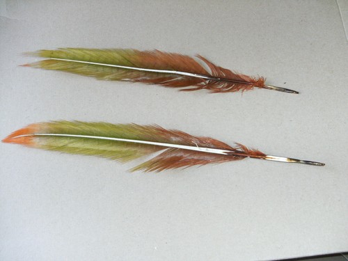 2 longues jolies plumes - 30 cm longueur - Imagen 2 de 2