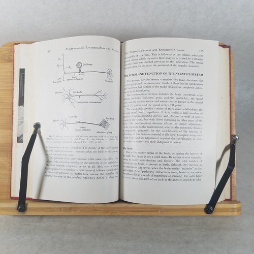 Understanding Interrelations in Nursing - 1st Ed by Lester and Alice Crow 1961 - Picture 10 of 12