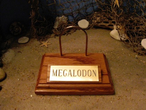 MEGALODON HAIZAHN 5" FOSSIL DISPLAY STÄNDER GRAVIERTE PLAQUE Zahn nicht enthalten - Bild 5 von 9