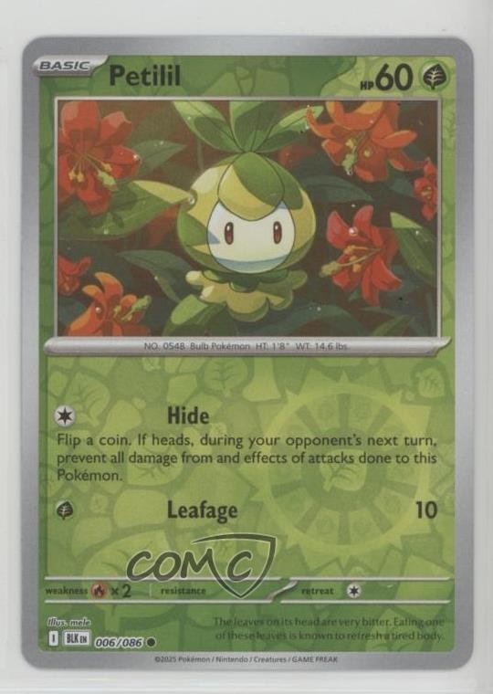 Petilil Reverse Foil Pokemon Black Bolt BLK #006