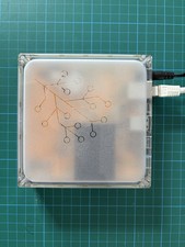 homeassistant