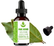 100 Natural Bay Laurel Essential Oil from Pure Herbs