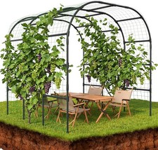 SUNYRISY Metal Garden Arch Trellis for Climbing Plants Garden Arbors and Arches