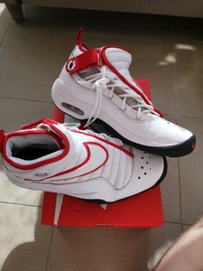 zapatillas dennis rodman