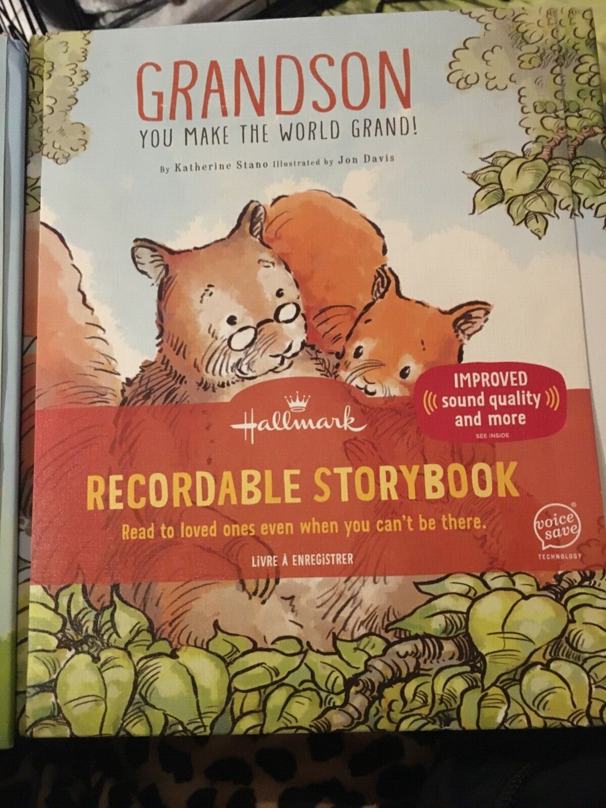 Hallmark Recordable Books Grandson Grandson You Make The World Grand
