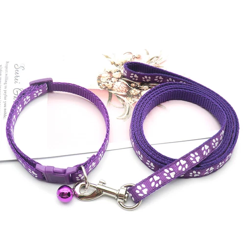 Kleines Hundehalsband und Leine Set verstellbar Welpenleine und Halsband Set Nylonriemen - Bild 11 von 36