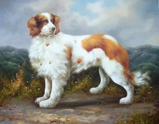 MQ-OP0605 100% Handmade Painted Animal Dog Oil Painting Art On Canvas