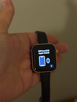 Apple Watch SE (1st gen) 40mm Gold Aluminum Case Black leather Band