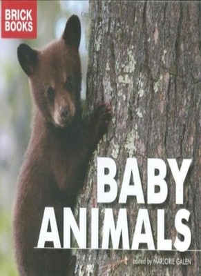 Baby Animals (Brick Books),Marjorie (ed) Galen