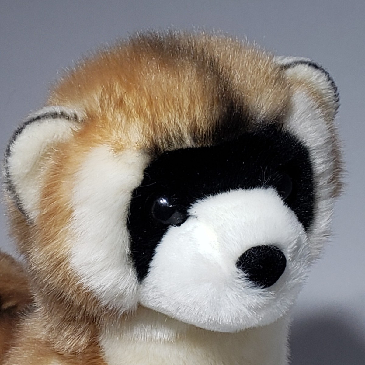 Ferret Plush TTANFY Donut Bed Soft Plush Small Pet Cushion Guinea