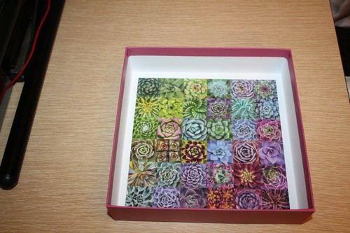 Sukkulenten Spektrum 500 Stück Puzzle von Galison 20 x 20 - Bild 7 von 7