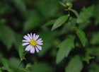 Bild 8 von 11