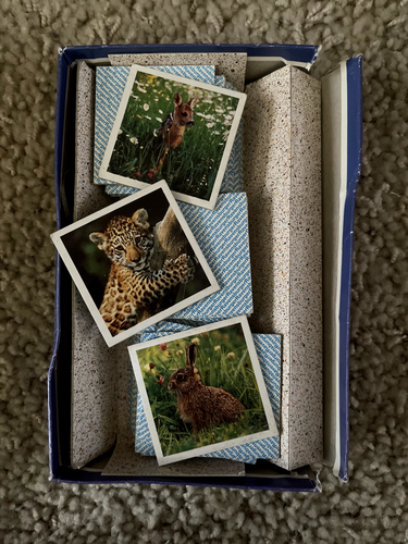 Coppie di immagini Ravensburger vintage mix & match divertimento - gioco di memoria per bambini animali - Foto 3 di 3