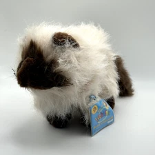 🐱 New Webkinz Himalayan Cat HM165 - Unused Tag, Pet & Smoke-Free 🐱