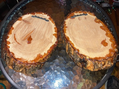 Pine Log Sliced Shellacked Rustic Shelves 9”T x6”W - Picture 4 of 9