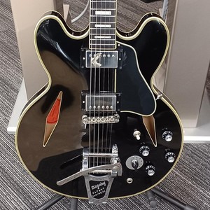Epiphone 355 | eBay