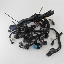 2016-2019 TRIUMPH THRUXTON 1200 R Main Loom Harness - T2501016
