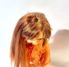 Bild 9 von 17
