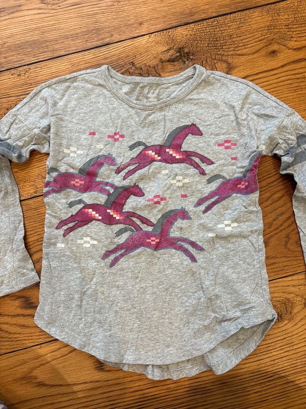 Tea Collection Long Sleev Girls Running Horse Gray Shirt Size 8 EUC