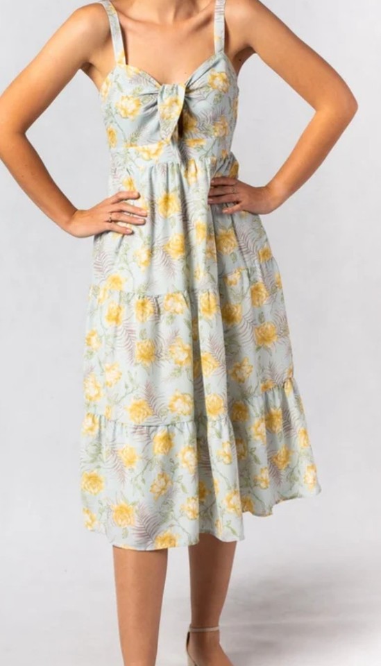 Runaway X Heart, Size 6, Blue, V Neck, Fit and Flare, Strappy Midi Dress