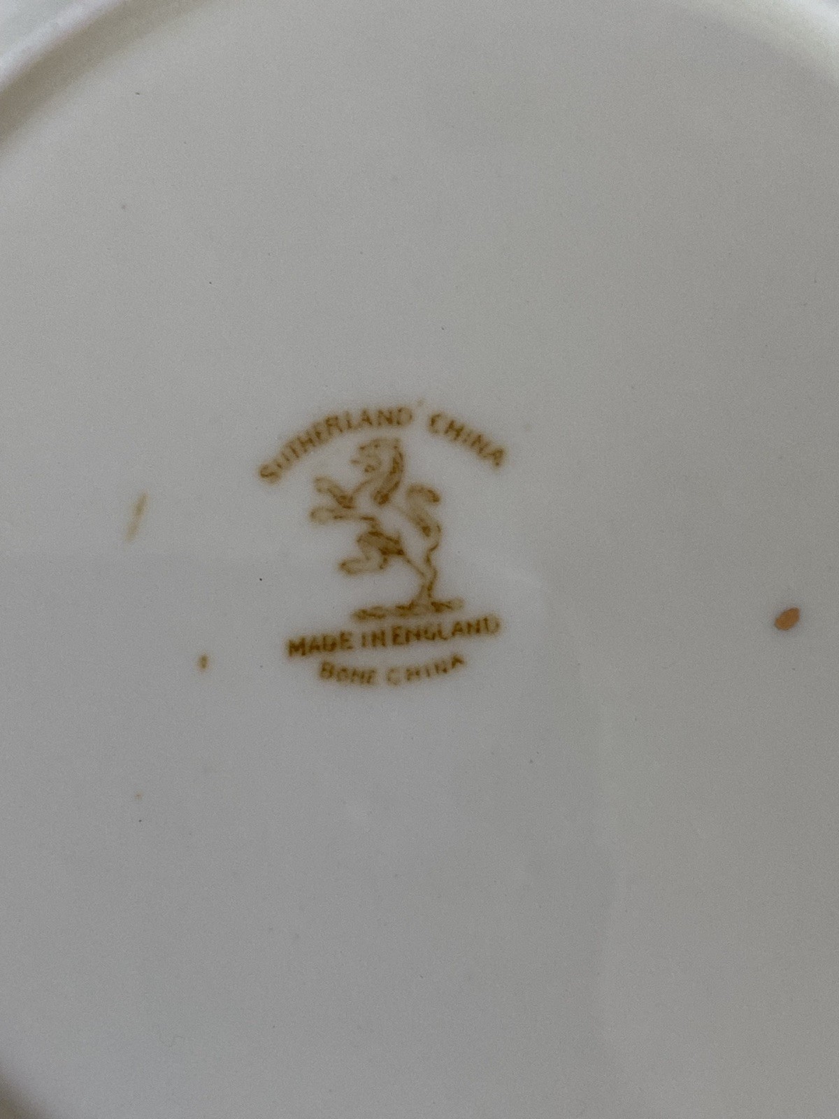 Picture 3 of 13