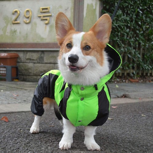 Dog Raincoat Lightweight 4 Feet Four Legs Rain Coats for Small Medium Large Dogs - Picture 8 of 64